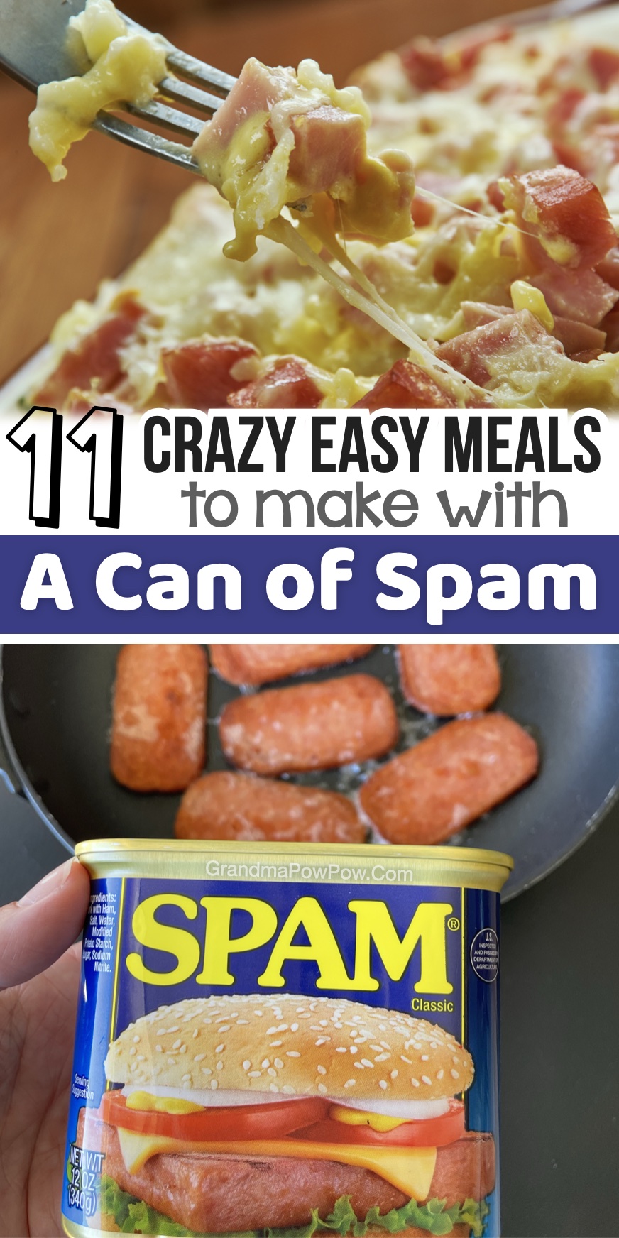 Are you looking for budget meals for your family? You've got to try spam! It tastes just like bacon and taste good in just about everything for breakfast, lunch, or dinner.